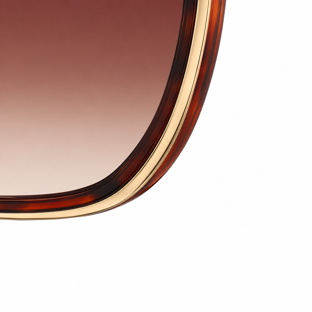 Velocity Sunglasses for Women